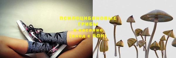 бутират Инта