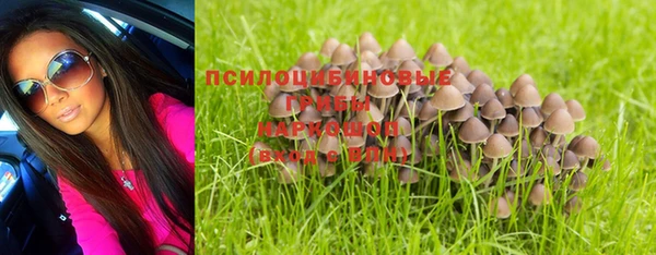 бутират Инсар