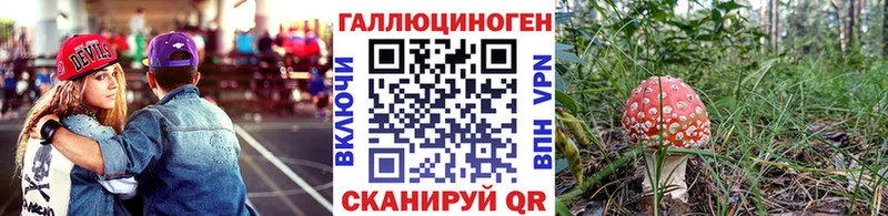 Псилоцибиновые грибы MAGIC MUSHROOMS  МЕГА зеркало  Кашира 