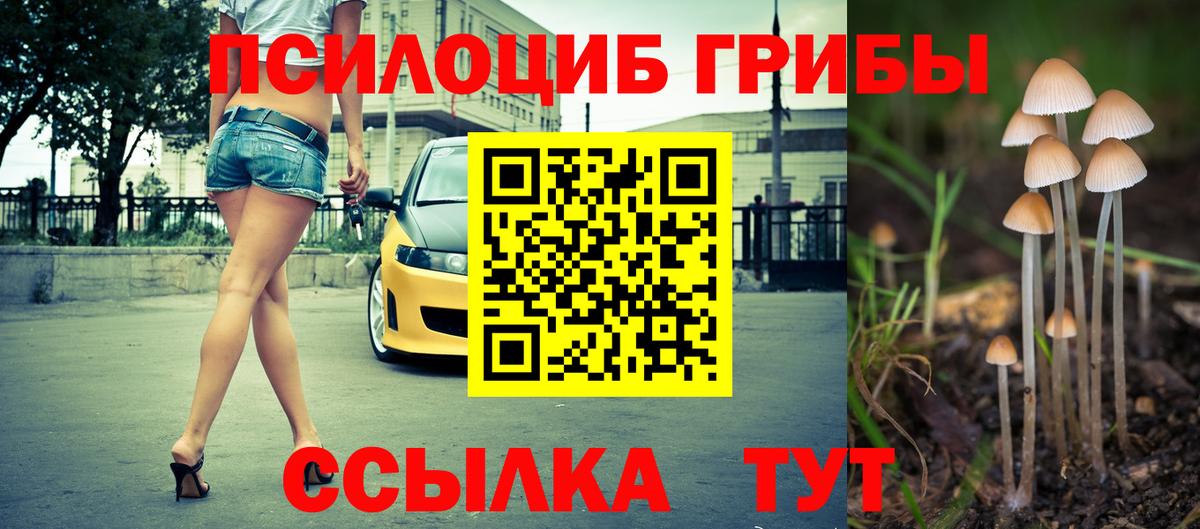 Галлюциногенные грибы Psilocybine cubensis Кашира