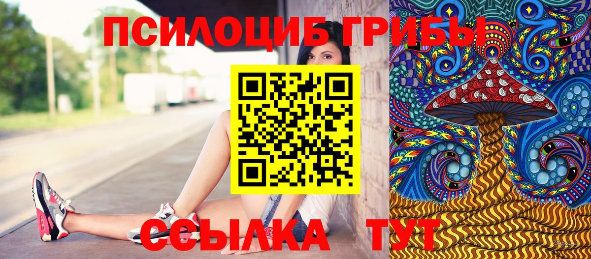 Псилоцибиновые грибы GOLDEN TEACHER  Псилоцибиновые грибы Psilocybine cubensis  Кашира  Вход с VPN 